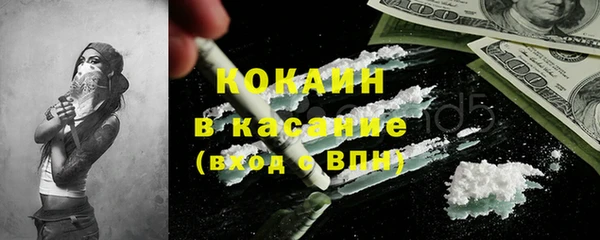 индика Майский