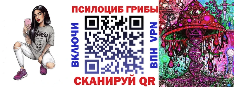 Псилоцибиновые грибы Psilocybe  Ахтырский 